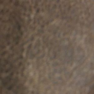 Meet your Posher, Robbie